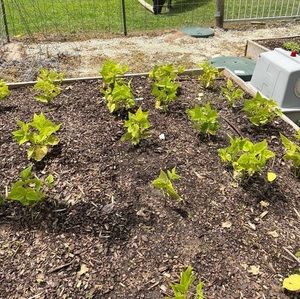 Meet your Posher, Dee